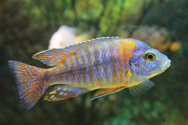 Similar image 539224