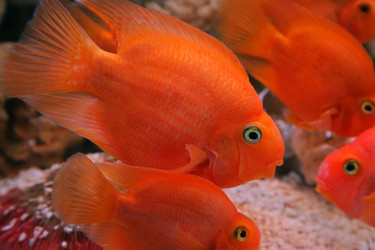 Similar image 539231