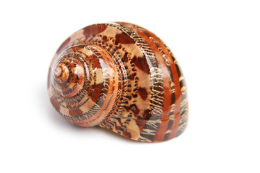 Similar image 539258