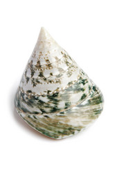 Similar image 539263