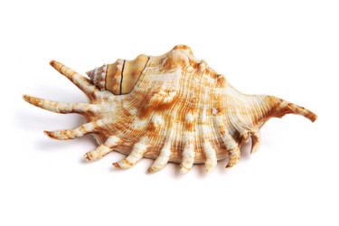 Similar image 539261