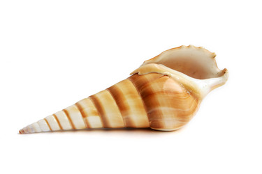 Similar image 539264