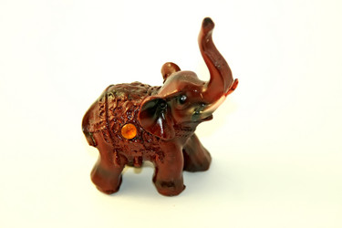 Similar image 539293