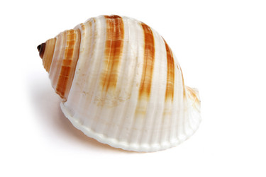 Similar image 539460