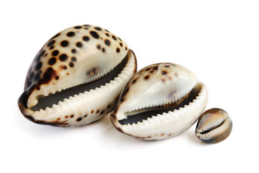 Similar image 539462