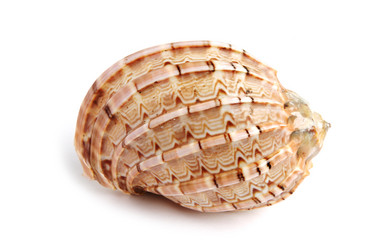 Similar image 539466