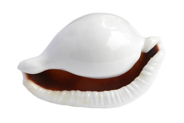 Similar image 539473