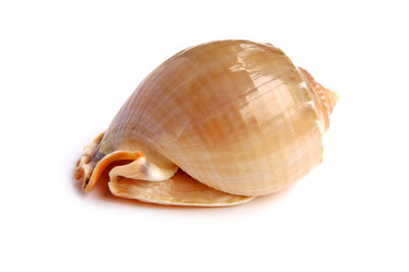 Similar image 539477