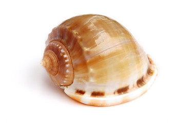 Similar image 539478