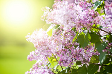 Similar image 539582