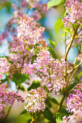 Similar image 539584