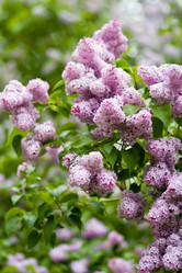 Similar image 539687