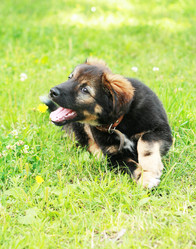 Similar image 539764