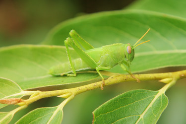 Similar image 539772