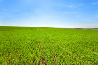 Similar image 539901