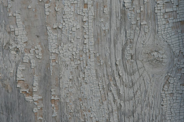 Similar image 539904