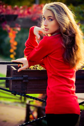 Similar image 540035