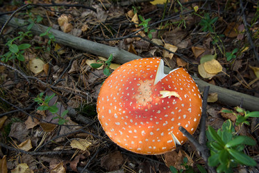 Similar image 540058