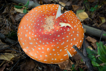 Similar image 540059