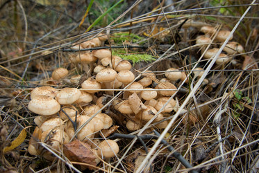 Similar image 540061