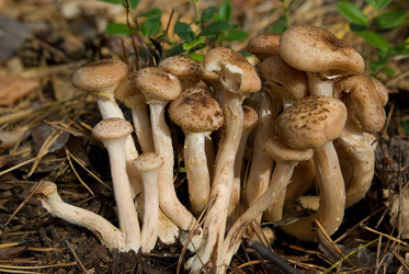 Similar image 540062