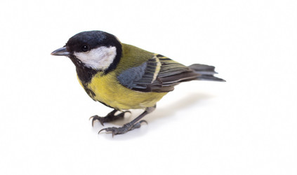 Similar image 540345