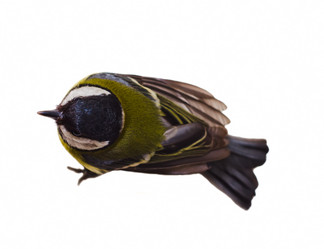 Similar image 540346