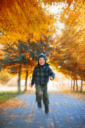 Similar image 540372