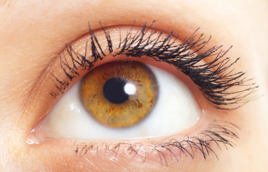 Similar image 540398