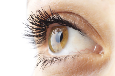 Similar image 540403