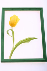 Similar image 540406