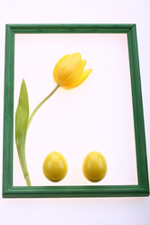 Similar image 540407