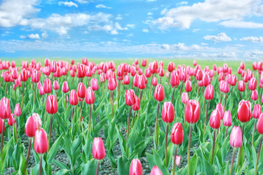 Similar image 540425