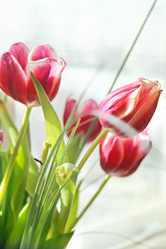 Similar image 540429