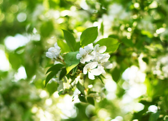 Similar image 540473