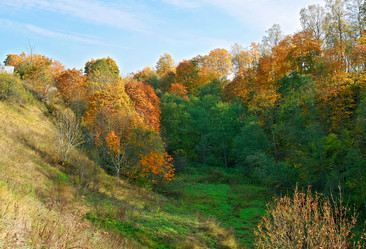 Similar image 540482