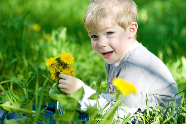 Similar image 540488