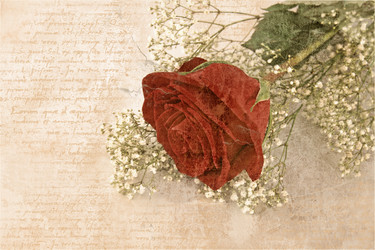 Similar image 540595