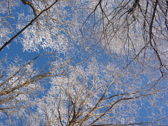 Similar image 540699