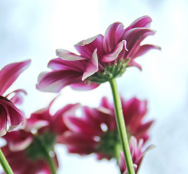 Similar image 540773