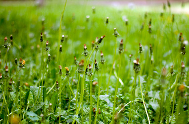 Similar image 540796