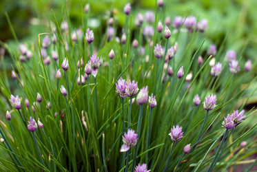 Similar image 540804