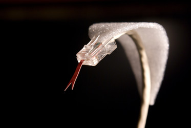 Similar image 540811