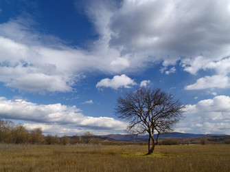 Similar image 540871