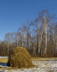 Similar image 540882