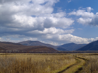 Similar image 540887