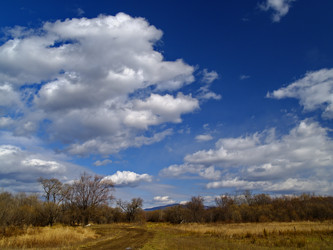 Similar image 540889