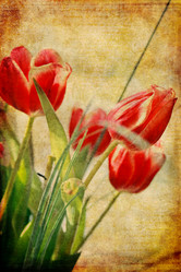 Similar image 540905