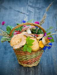 Similar image 540915