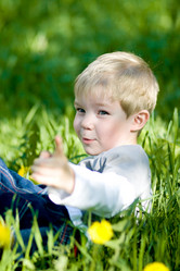 Similar image 540921